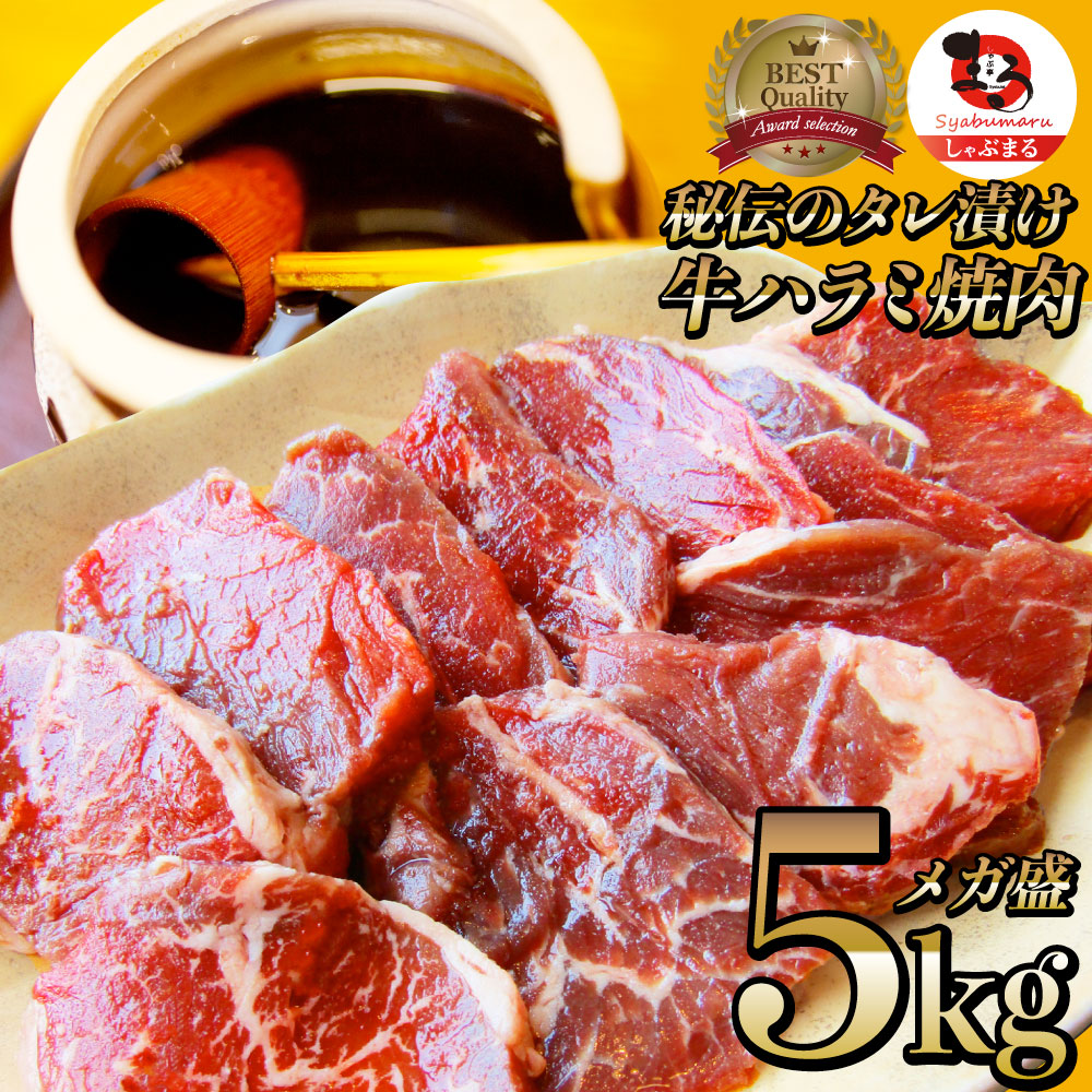 牛ハラミ焼肉（タレ漬け）5kg（250g×20） タレ 赤身 はらみ 秘伝 焼肉セット 焼肉 ランキング1位 やきにく ハラミ アウトドア お家焼肉 レジャー 送料無料 バーベキュー 肉 食材 セット バーベキューセット キャンプ キャンプ飯