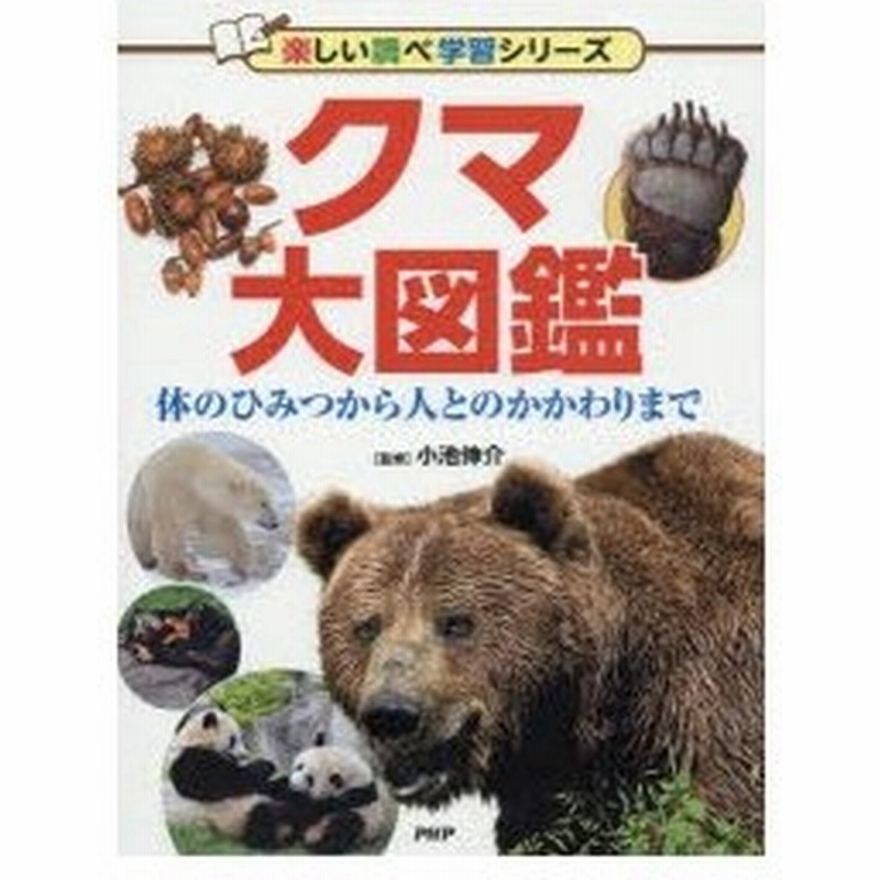 クマ大図鑑 体のひみつから人とのかかわりまで 通販 Lineポイント最大0 5 Get Lineショッピング