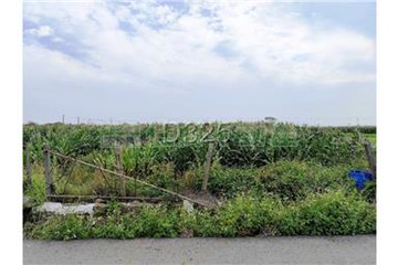 七股台17方正農地｜台南市七股區十一份段​