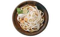 手延べうどん 180g×14束