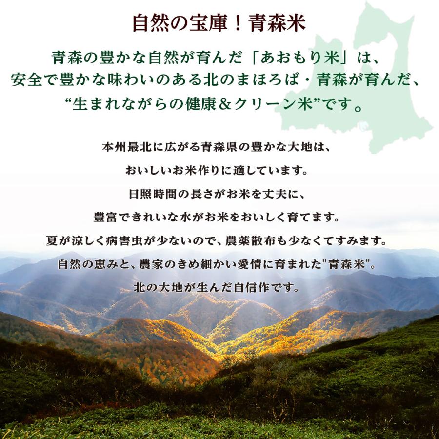 米 お米 米30kg 白米 送料無料 まっしぐら 青森県産 安い 米 30kg こめ 米30キロ お米30キロ お米30kg 精米 単一原料米 令和5年産 新米 美味しい 生活応援 格安