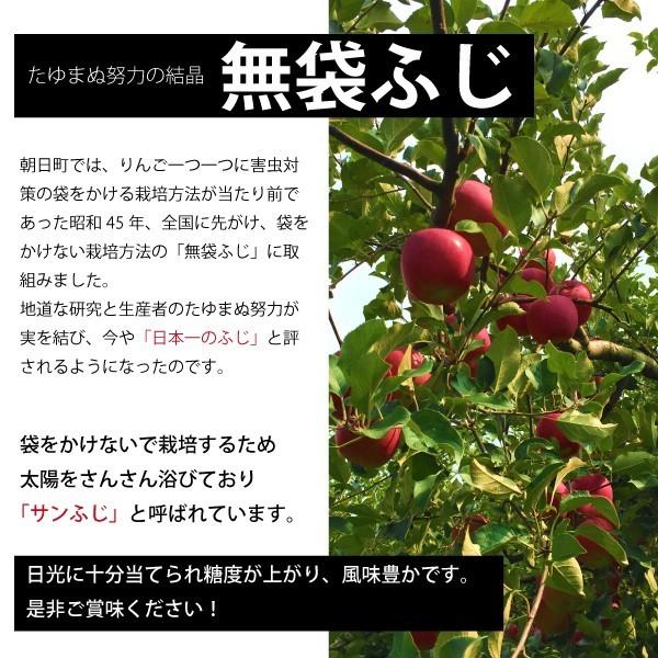 山形県 りんご サンふじ 和合りんご 訳あり 家庭用 5kg 朝日町 12月上旬〜順次発送