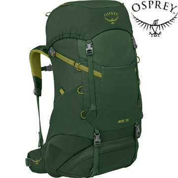 Osprey Ace 38 登山背包 5-11歲 兒童款 38L 綠冠葉綠 Green Canopy
