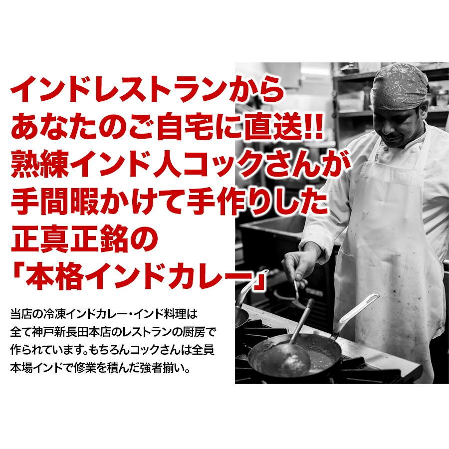 カレー　レンジで5分！インドカレー・ビリヤニ弁当6品 送料無料 ８種類から選べるインド料理 冷凍