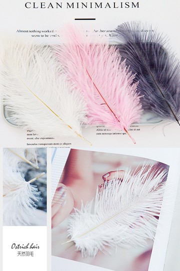 兩件裝白色淡粉深粉深灰鴕鳥毛羽毛ins拍照道具唯美擺件飾品美甲手拿少女化妝品拍攝背景
