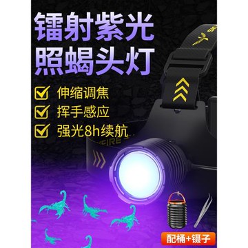 天火照蝎子頭燈2025新款強光頭戴式超亮大功率專用紫光燈超長續航