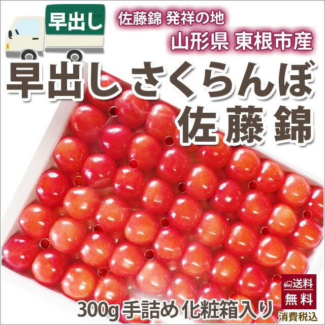 さくらんぼ 父の日 お中元 佐藤錦 ギフト プレゼント 早出し　さくらんぼ 佐藤錦　手詰め 300g　4月30日まで 1kg 500g ばら詰め 山形産 農産物