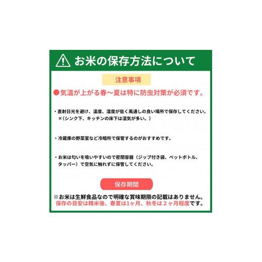 ふるさと納税 兵庫県 丹波篠山市 定期便6回丹波篠山産　コシヒカリ　5kg