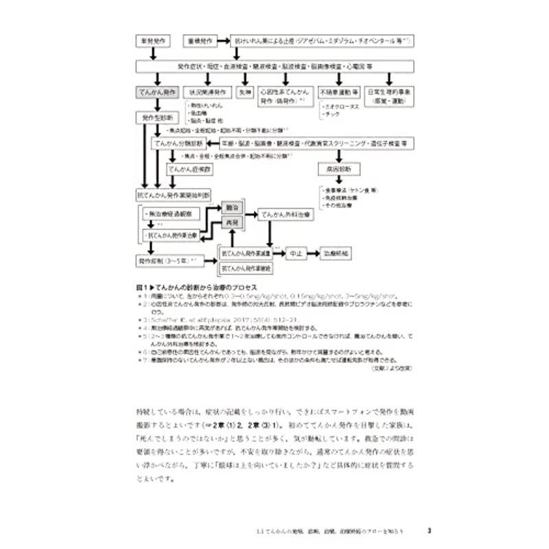 エキスパートが語るてんかん診療実践ガイド 電子版付