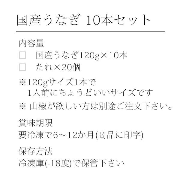 ＼まとめ買いにおすすめ／10尾セット 国産 うなぎ 蒲焼き 120g 鰻 ギフト 蒲焼 うなぎ蒲焼 送料無料