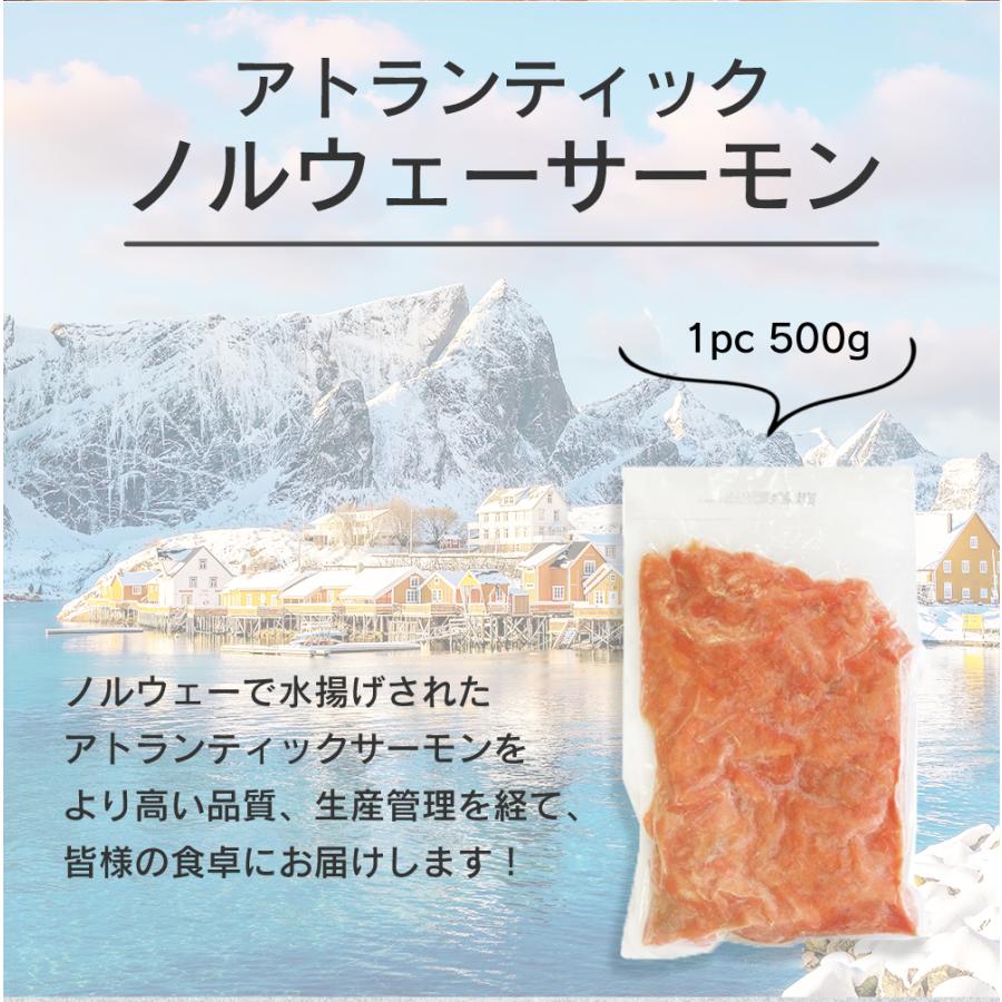 サーモン 訳あり 切り落とし 1kg (500g×2パック) 生ハラス 生サーモン 生食 刺身