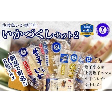 ふるさと納税 佐渡島いか専門店　いかづくしセット2 新潟県佐渡市