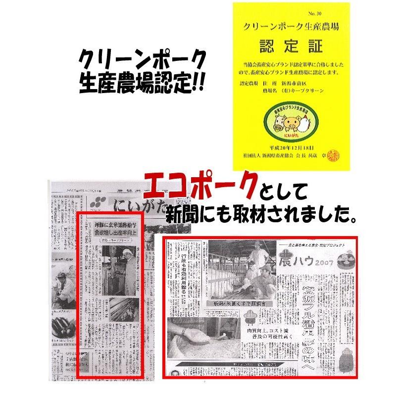 極上 霜降り 新潟 豚肉 夢味豚 ロース ブロック 1kg