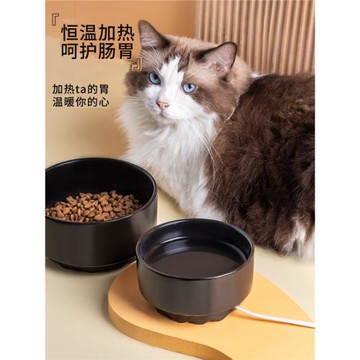黑色陶瓷貓碗喝水碗狗碗寵物加熱碗寵物恒溫碗省電貓咪愛喝水狗盆