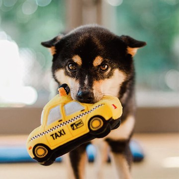 【P.L.A.Y.玩寵生活】  寵物玩具狗狗好行 - 紐約計程車