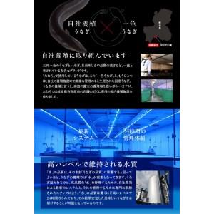 ふるさと納税 57 岐阜鰻たむろ　”極”（ご自宅用 蒲焼き6尾）鮎の塩焼き付き 岐阜県各務原市