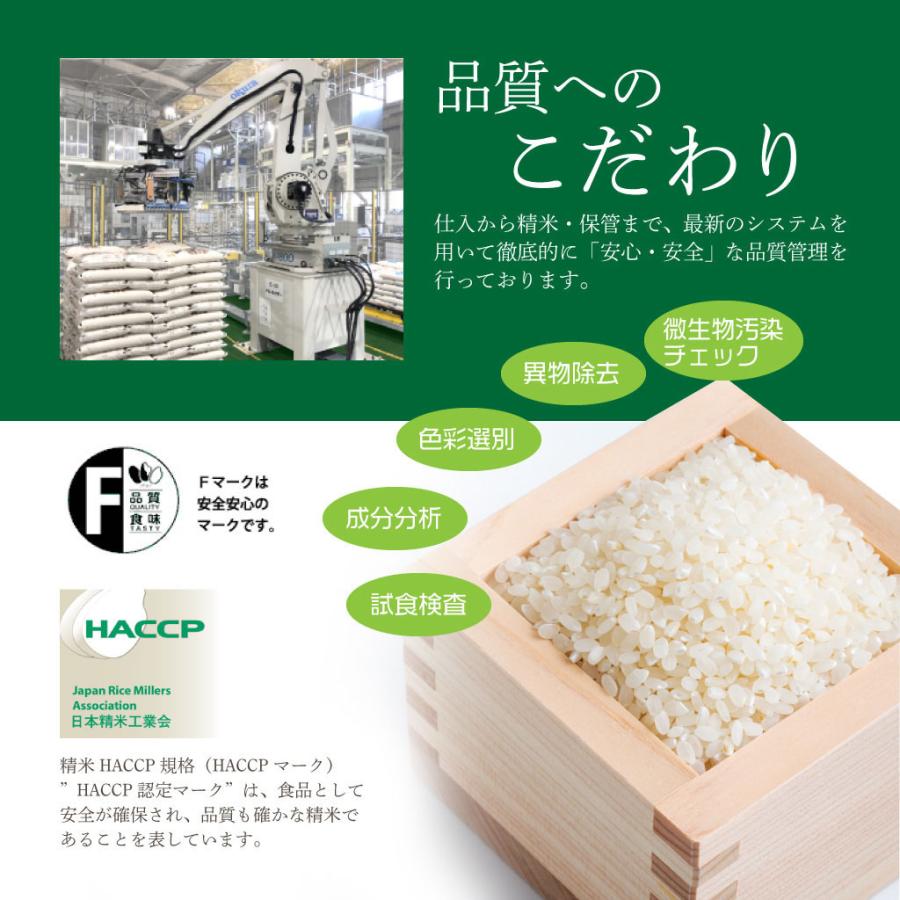 熊本県産 七城のこめ 20kg (5kg×4袋）白米 おうち時間 おすすめ おいしい おにぎり お弁当 送料無料