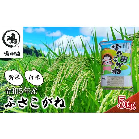 ふるさと納税 新米 令和5年 ふさこがね 5kg 千葉産 白米　 千葉県千葉市