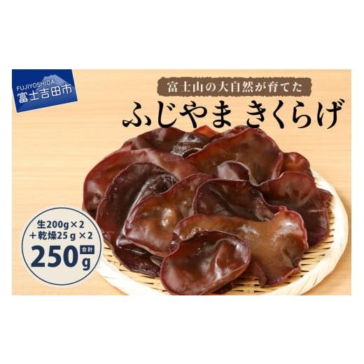 ふるさと納税 山梨県 富士吉田市 富士山の大自然が育てた「ふじやま きくらげ」(生きくらげ200g、乾燥きくらげ25gx2)