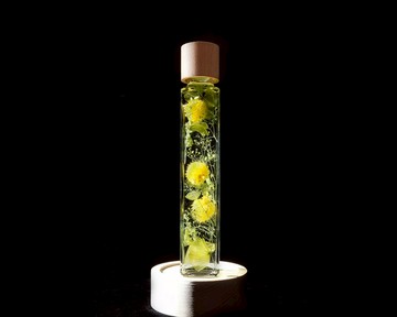 【聖誕禮物】浮游花小夜燈-黃金招財/客製化聖誕禮物/純手工