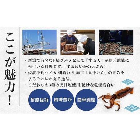 ふるさと納税 佐渡島いか専門店　いかづくしセット2 新潟県佐渡市