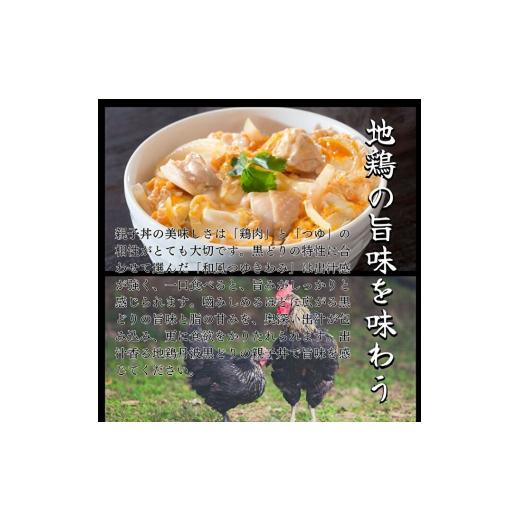 ふるさと納税 兵庫県 加西市 地鶏 丹波 黒どり 親子丼 セット 10食分（2食入×5セット）時短調理 簡単 レシピ付 出汁 つゆ 献立