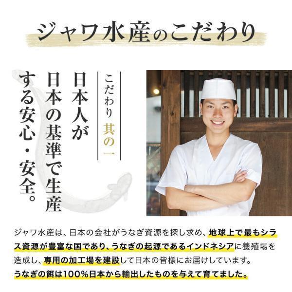 ジャワ うなぎ 蒲焼き 鰻 長焼き 超特大サイズ 200g 3本 タレ（山椒）付き お歳暮 2023 ふるさと グルメ ギフト 無投薬 オーガニック