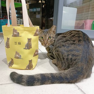 客製化 |  麂皮 環保提袋/環保杯袋/飲料提袋/水壺袋/杯袋