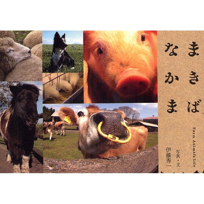 まきばなかま Farm Animal s Life