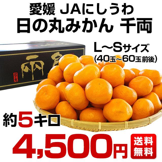 愛媛県より産地直送 JAにしうわ 日の丸みかん 千両 LからSサイズ 5キロ(40玉から60玉) 送料無料 蜜柑 ミカン