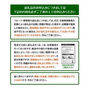 ふるさと納税 さぬきひめ いちご 化粧箱 約400g×2箱 香川県高松市