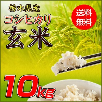 新米令和5年産 栃木県産コシヒカリ 玄米 10kgレビュー人気のおいしい栃木産コシヒカリ玄米