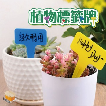 【台灣現貨】植物標籤牌 植物花牌  掛式花牌 插牌 植物名牌  多肉花牌 插地花牌 園藝標籤牌 花卉標籤牌 T字植物名牌