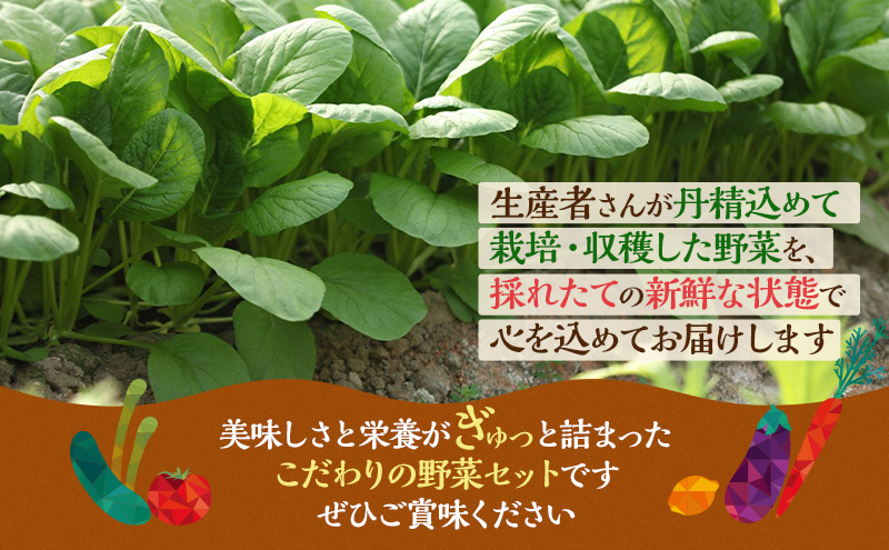 とれたて 野菜パック  季節の野菜 セット 詰め合わせ 10品前後 野菜セット 野菜詰め合わせ 野菜 ジャガイモ 人参 大根 小松菜 白ネギ グリ−ンリ−フ チンゲン菜 椎茸 トマト 水菜 葉ネギ 人気 厳選