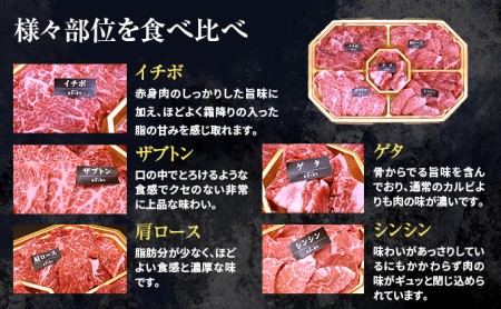 北海道産星空の黒牛 厳選5種BBQセット1kg