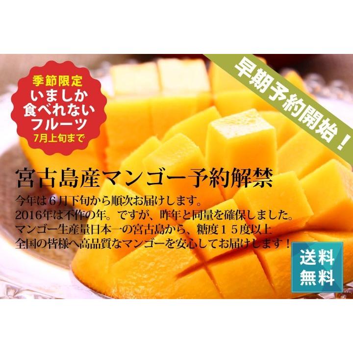 マンゴー 宮古島産 冷凍（国産）3kg　送料無料