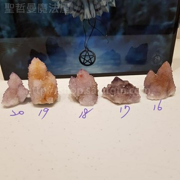 【土桑展精選寶物】仙人掌水晶191203~16-19號(Cactus Quartz) ~南非