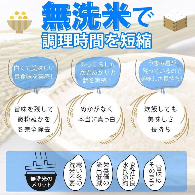 新米 無洗米 福井県産ミルキークイーン 白米 令和4年産 (5kg)