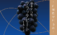 山梨県甲州市産ブラックビート 約1kg（2房）（SHP）B-500