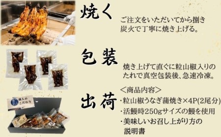 粒山椒うなぎ蒲焼き 4P入 国産 三河一色産