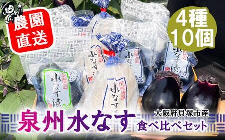 北野農園　泉州水なす４種１０個セット