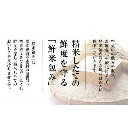 ふるさと納税 契約栽培　雪蔵貯蔵米　南魚沼産こしひかり（3合×8袋×全12回） 新潟県南魚沼市