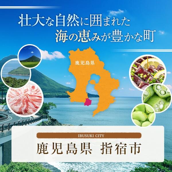 御歳暮 ギフト グルメ さつま揚げ 「昔だより」 鹿児島 さつまあげ 薩摩揚げ プレゼント 送料無料