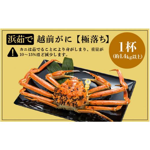 ふるさと納税 福井県 越前町 越前がに本場の越前町からお届け！ 越前がに 浜茹で 極落ち（生で約1.4kg以上） × 1杯 食べ応え旨味充分！【福…