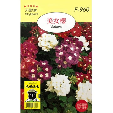 花田綠地種子-美女櫻