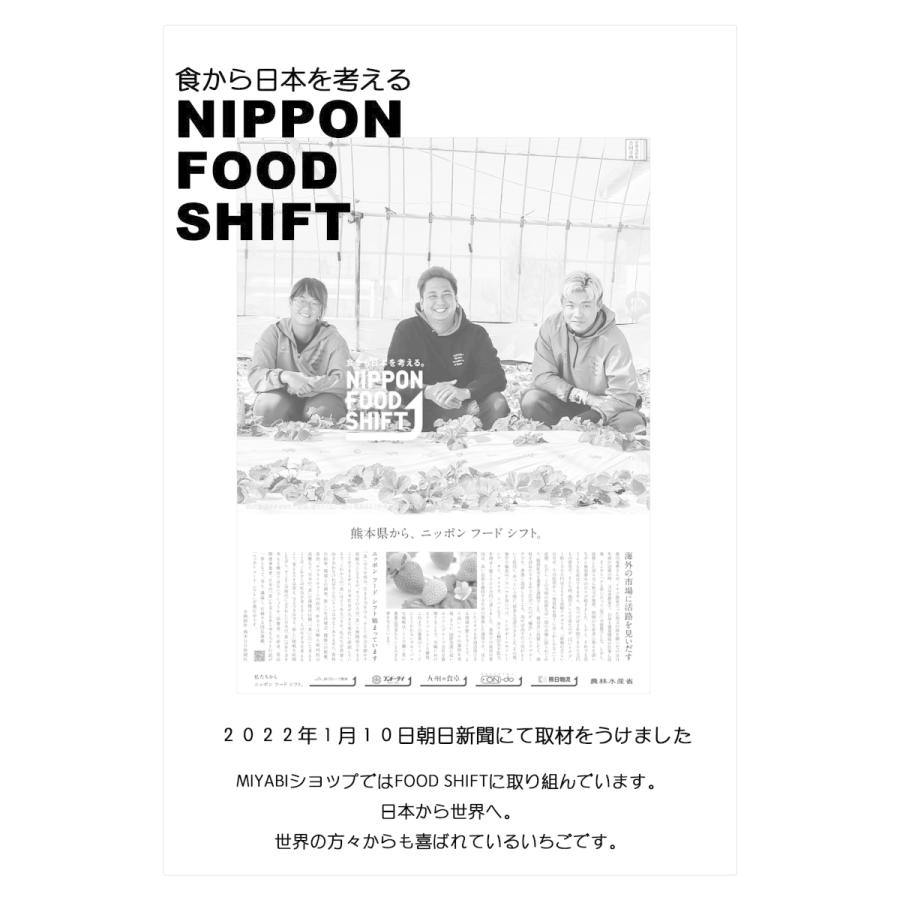 〜お歳暮先行予約 12月順次発送〜 熊本産 雅乃苺 赤イチゴ 淡雪 紅白セット-250g×2 熨斗 高級いちご 贈答用 お歳暮 クリスマス