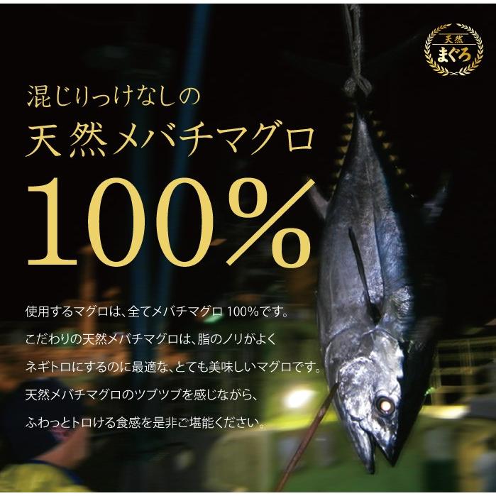 ネギトロ 100g 無添加 天然 マグロ 粗挽き 刺身 お取り寄せ グルメ ギフト まぐろ 鮪