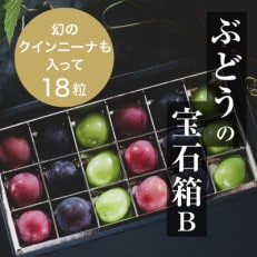 『ぶどうの宝石箱B』(3品種)