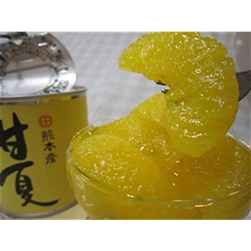 JAあしきた 熊本芦北柑橘 デコポン甘夏缶詰め (10缶入り(化粧箱))
