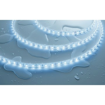 舞光 5050低壓戶外軟條燈 白光 黃光 LED-50WO12V-WR3【高雄永興照明】【APP滿額下單10%點數(單一帳號最高1000點)】9/30止